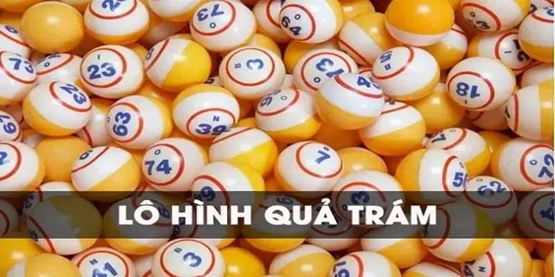 Lưu ý khi soi cầu quả trám da88